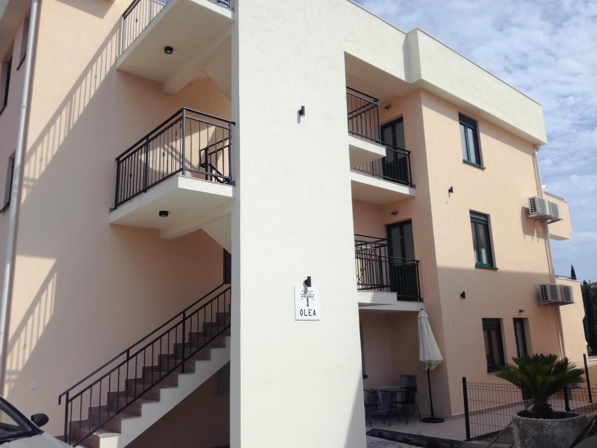 Ferienwohnung Olea Tivat Exterior foto